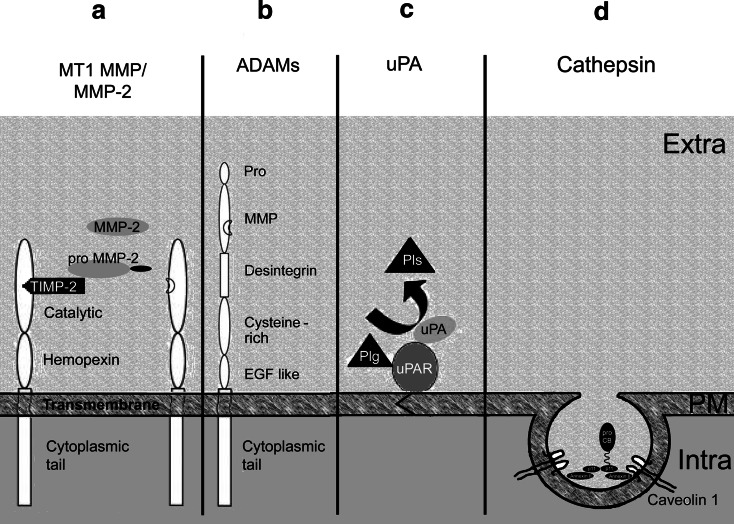 Fig. 3