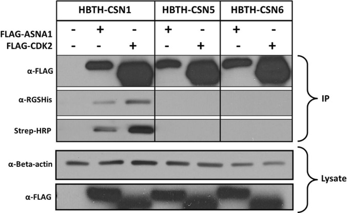 Fig. 3.