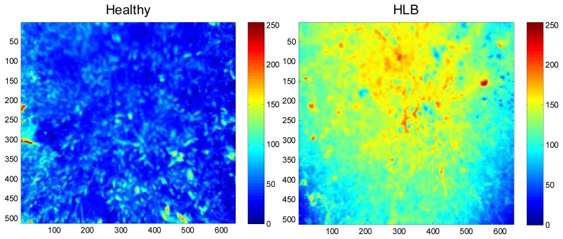 Figure 4.