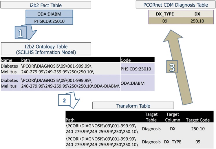 Figure 5: