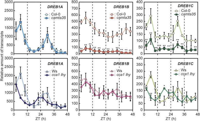 Figure 6.