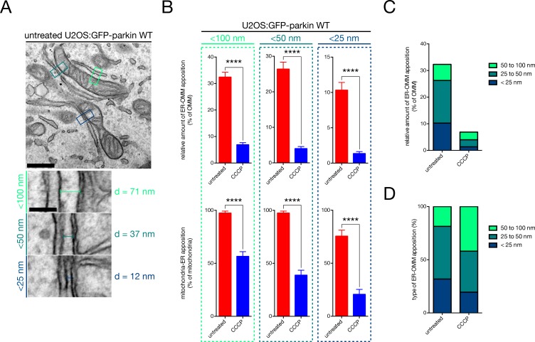 Figure 1—figure supplement 1.