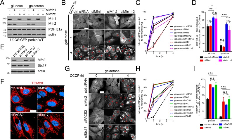 Figure 3—figure supplement 3.