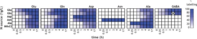 Figure 4—figure supplement 1.