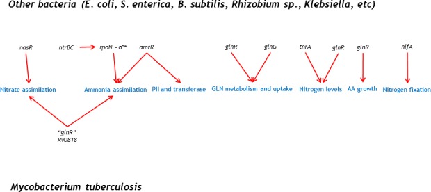 Figure 1—figure supplement 1.