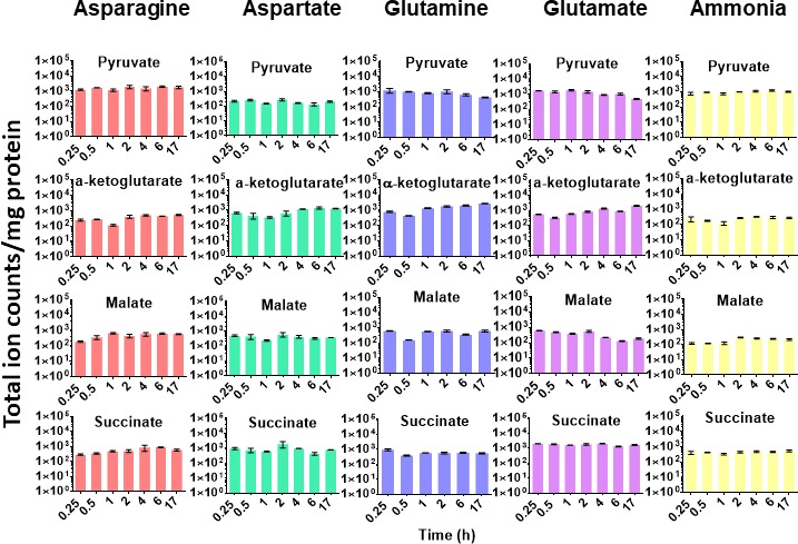 Figure 4—figure supplement 2.