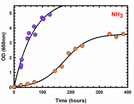 Figure 1—figure supplement 2.