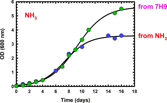 Figure 3—figure supplement 1.