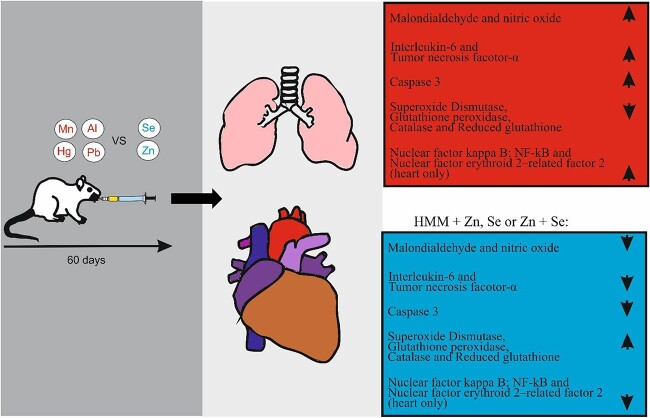 Graphical Abstract