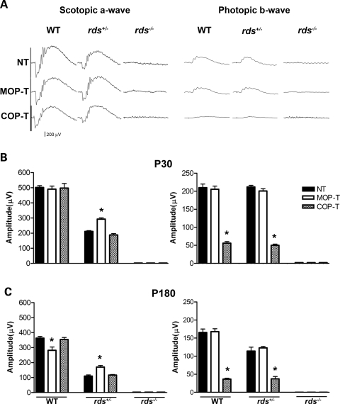 Figure 4.