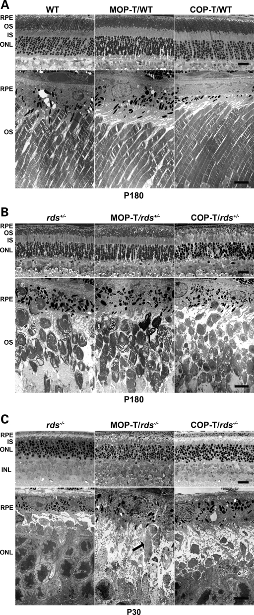 Figure 5.