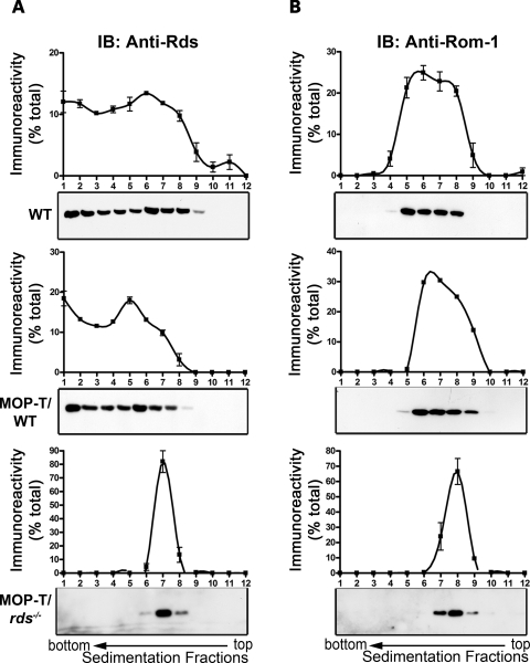 Figure 3.