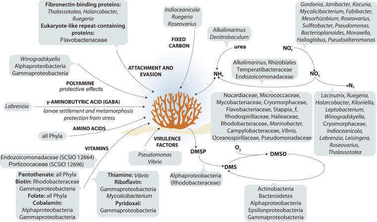 FIG 5