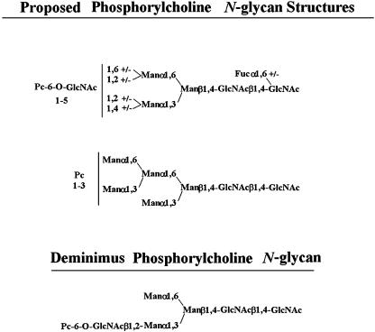 Scheme 1.