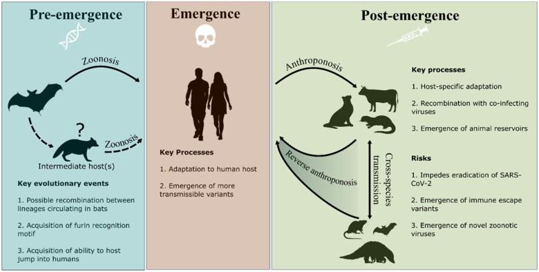 Figure 2: