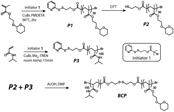 Scheme 2