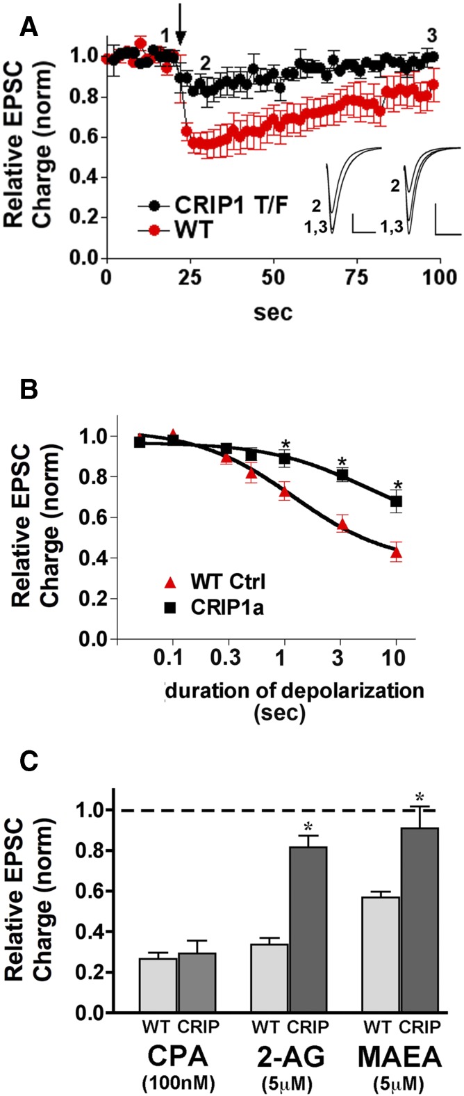 Fig. 10.