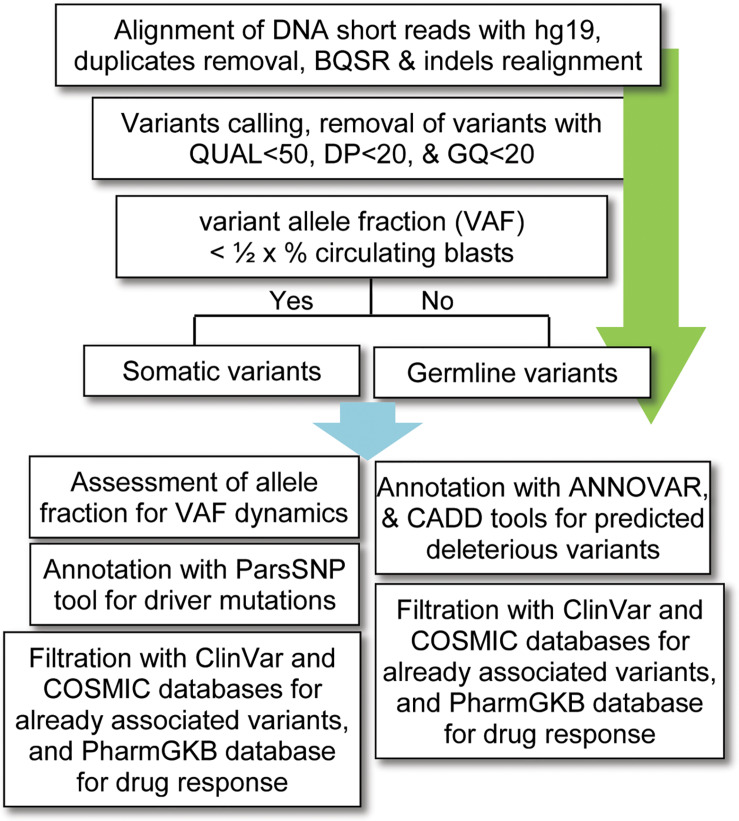 FIGURE 1