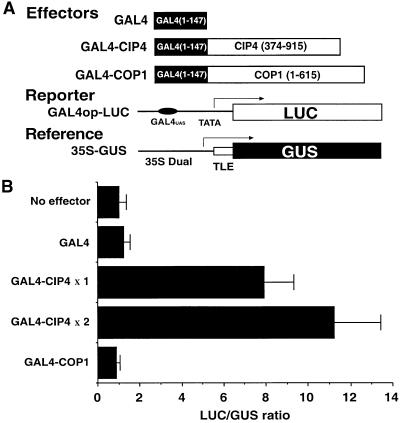 Figure 4.