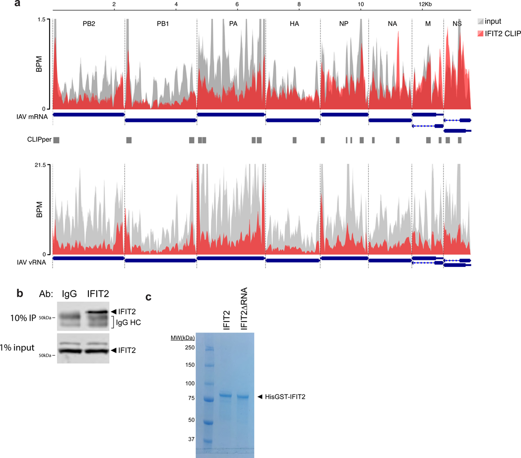 Extended Data Fig. 5