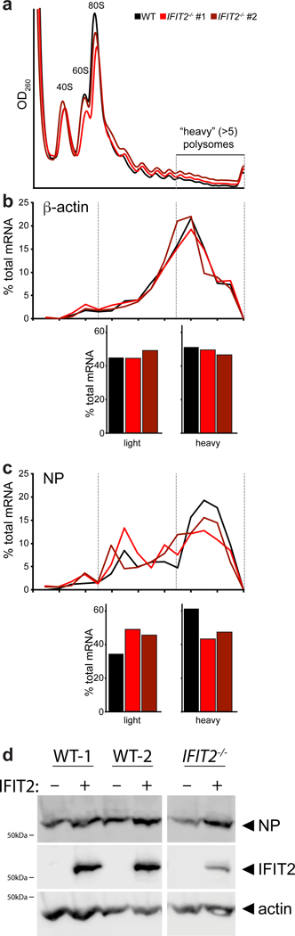 Extended Data Fig. 6