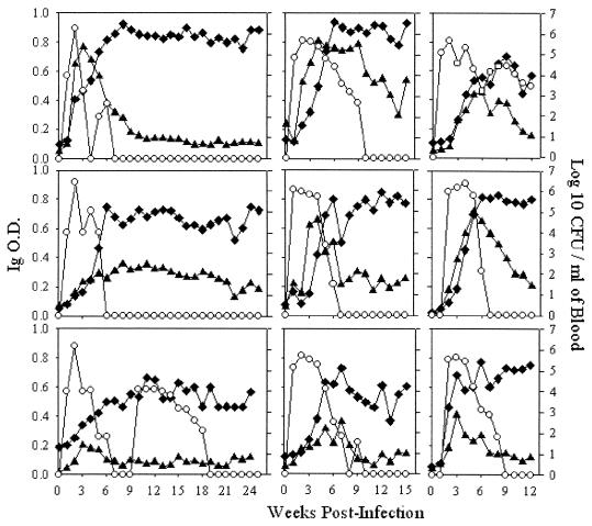 FIG. 1