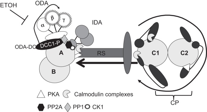 Fig. 4.