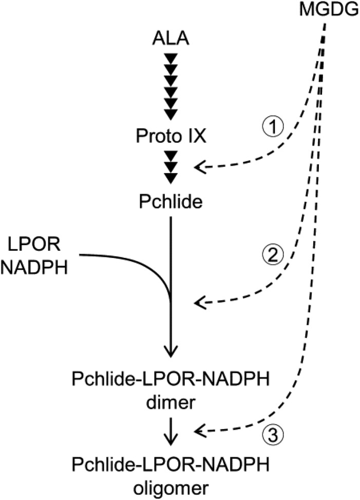 Figure 7.