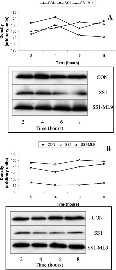 FIG. 9.