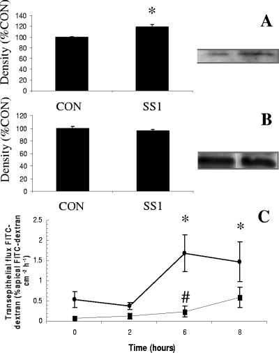 FIG. 8.