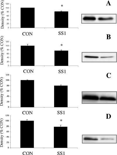 FIG. 5.