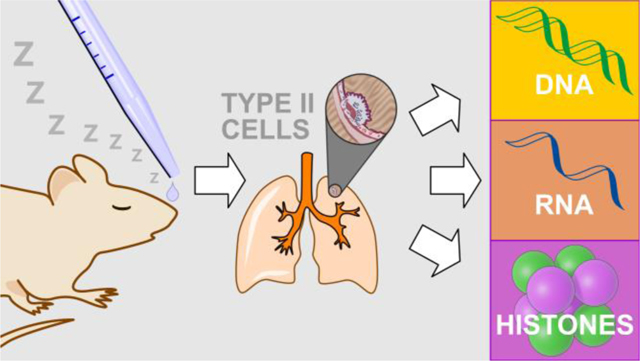 graphic file with name nihms-1055632-f0003.jpg