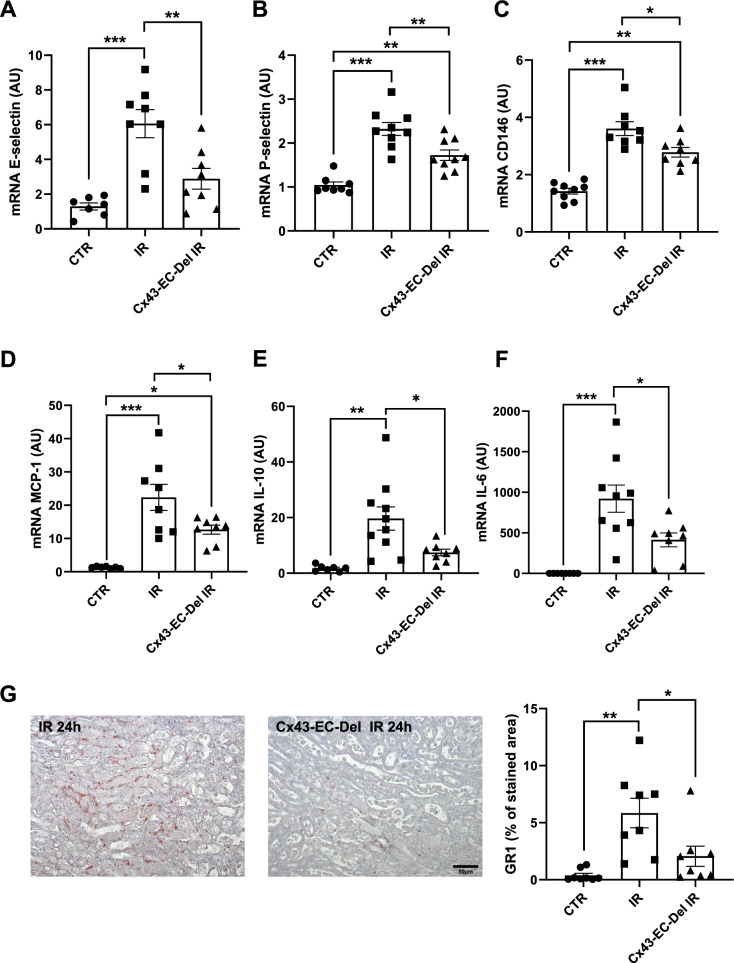 Fig. 7