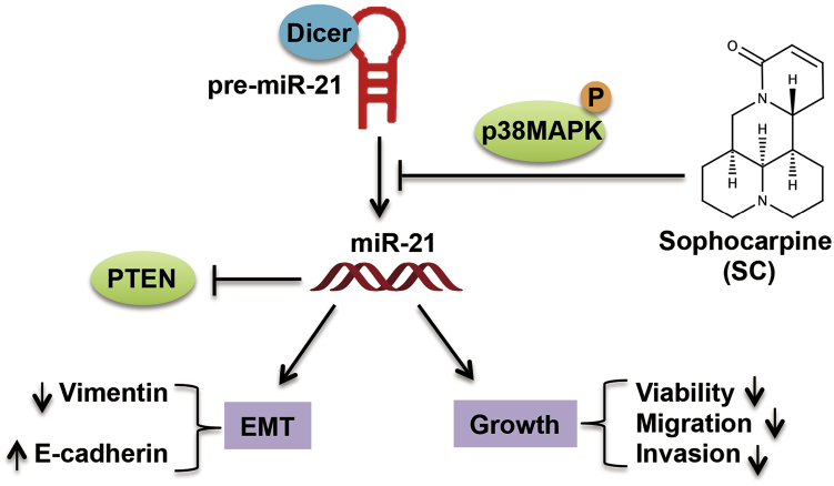 Figure 7