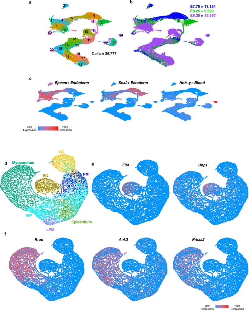 Extended Data Figure 1: