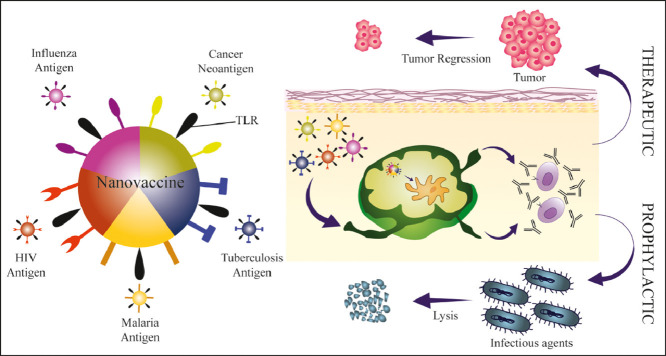 Image, graphical abstract