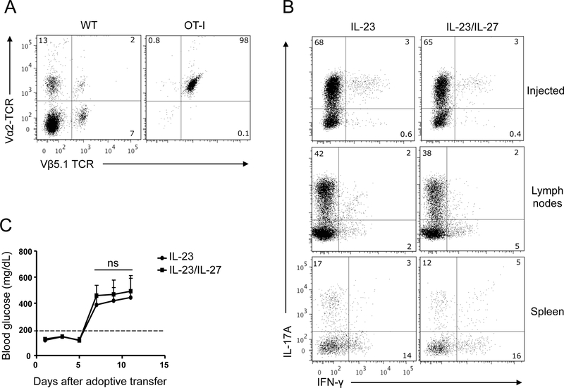 Figure 7: