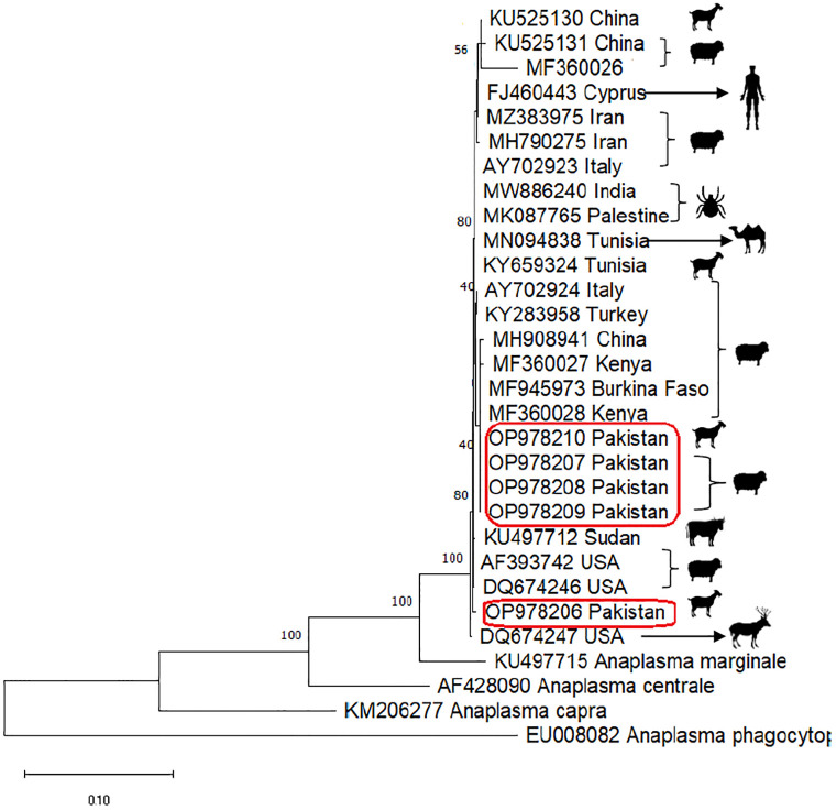 Fig 3