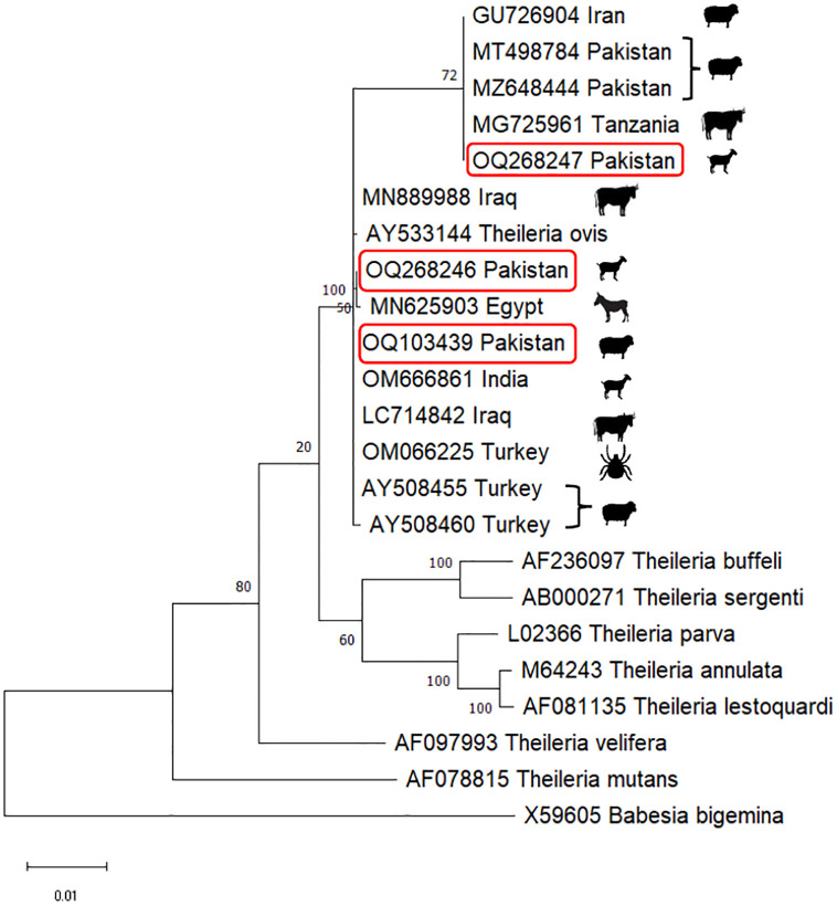 Fig 4