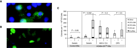 FIG. 3.