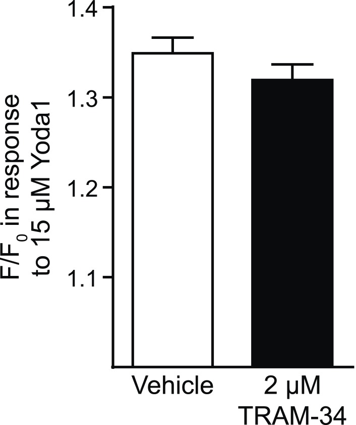 Figure 3—figure supplement 1.