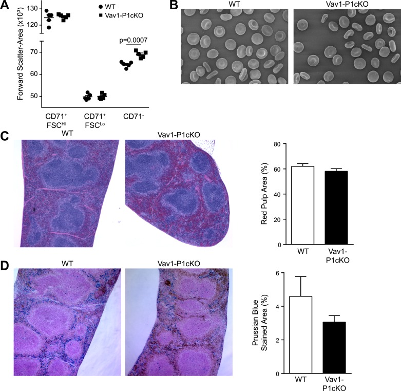 Figure 1—figure supplement 2.