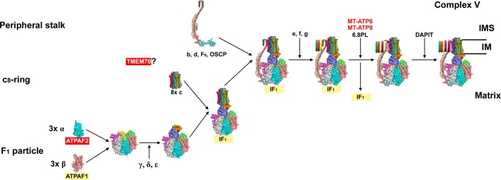 Figure 5