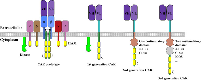 Fig. 1