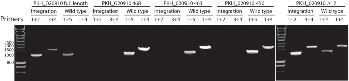 FIGURE 7.