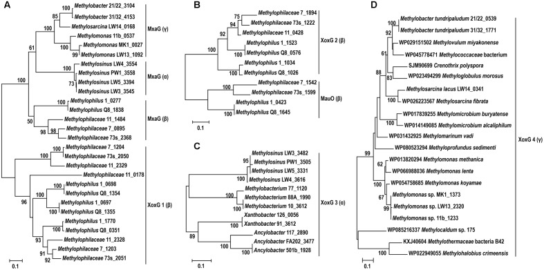 FIGURE 6