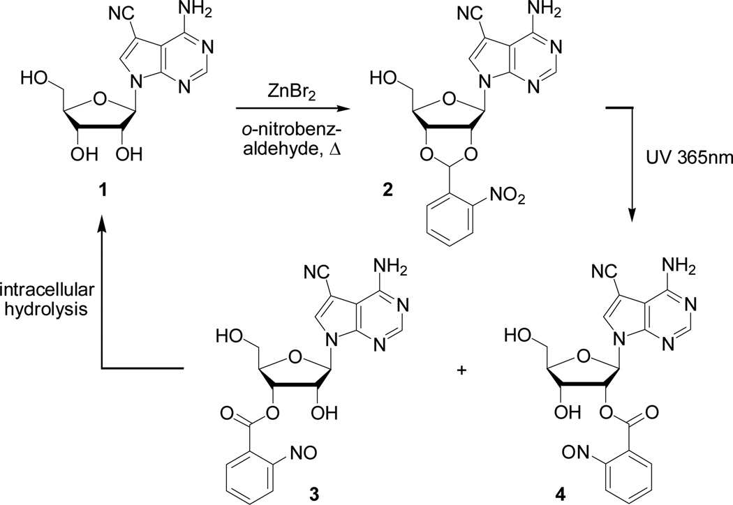 Scheme 2