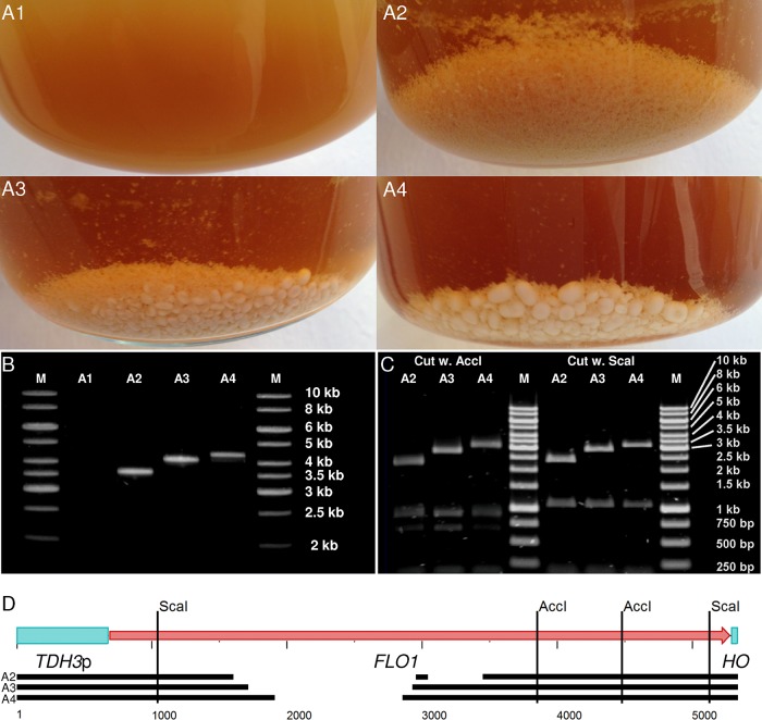 FIG 1