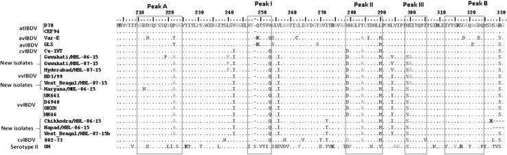 Fig. 1