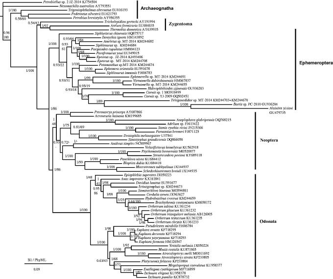 Figure 1.